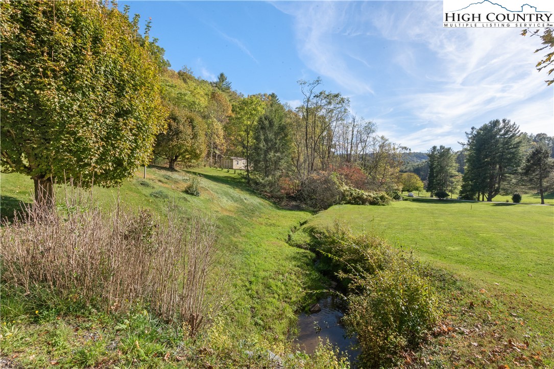 4934 Silas Creek Road Lansing, NC 28643 - Photo 2 of 32 a view of a yard with large trees