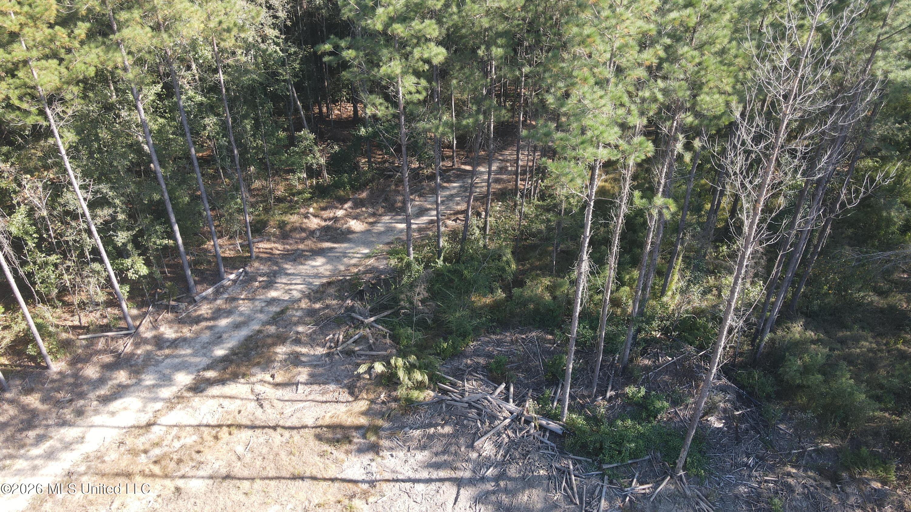 Loyd Irby Road Pelahatchie, MS 39145 - Photo 6 of 30 DJI_0234
