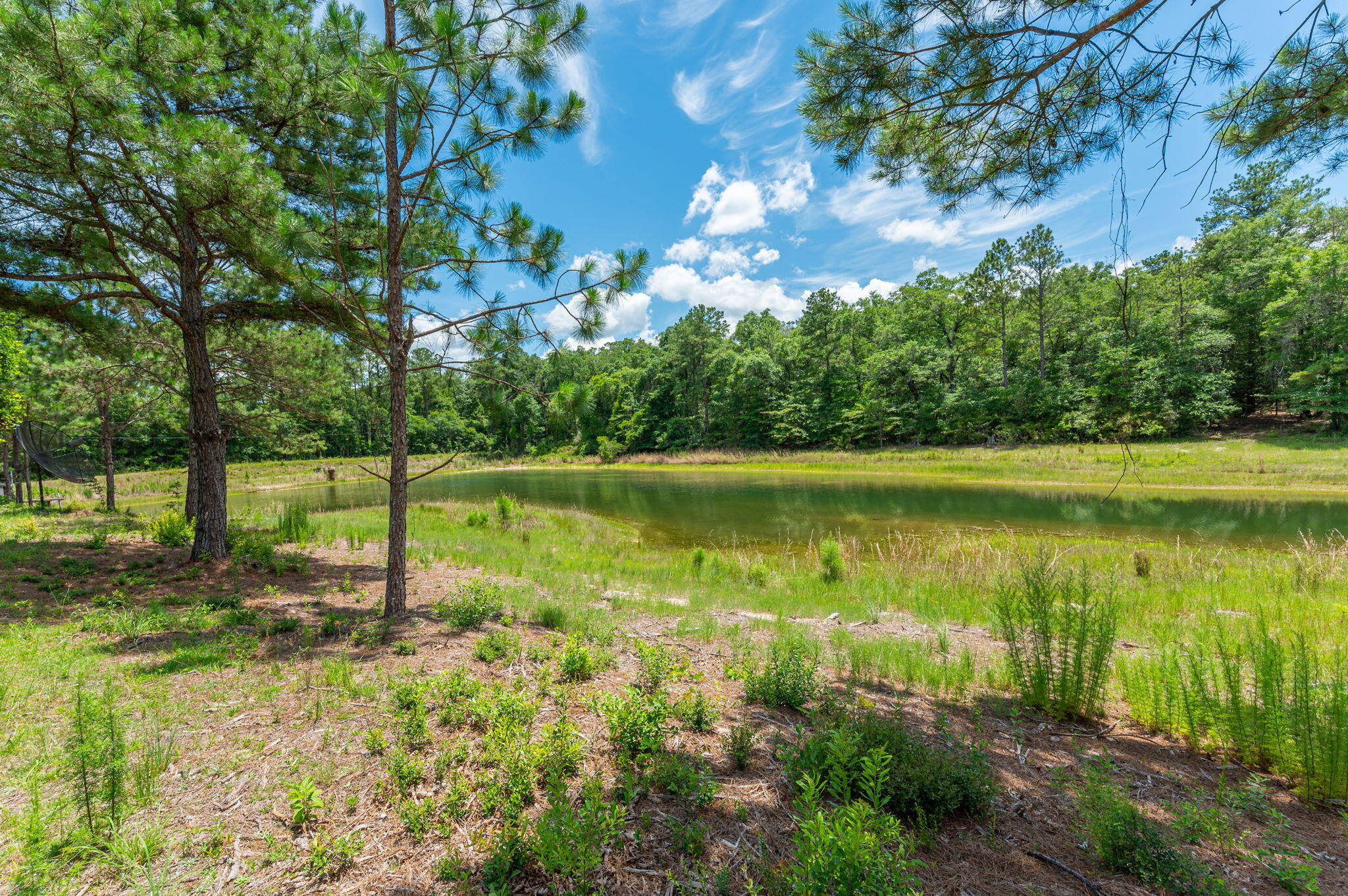 6199 Lake Ella Road Crestview, FL 32539 - Photo 53 of 58 49-web-or-mls-6199-lake-ella-rd