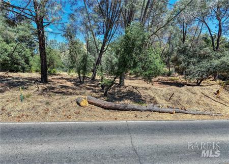 14142 Burns Valley Road Clearlake, CA 95422 - Photo 12 of 36 a view of a yard with a tree
