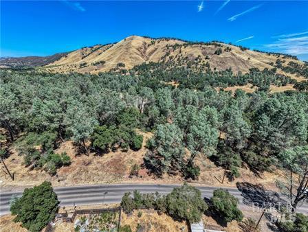 14142 Burns Valley Road Clearlake, CA 95422 - Photo 13 of 36 a view of a large tree
