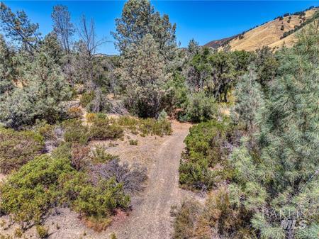 14142 Burns Valley Road Clearlake, CA 95422 - Photo 20 of 36 a view of a yard with a tree