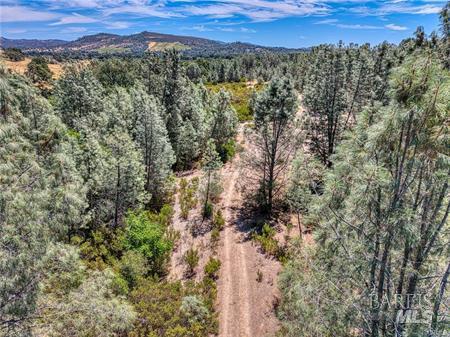 14142 Burns Valley Road Clearlake, CA 95422 - Photo 24 of 36 a view of a city with lush green forest