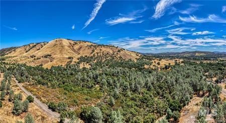 14142 Burns Valley Road Clearlake, CA 95422 - Photo 26 of 36 a view of a yard
