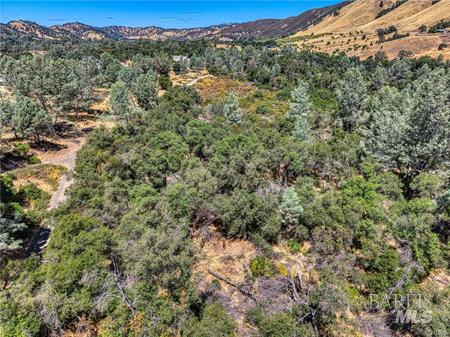 14142 Burns Valley Road Clearlake, CA 95422 - Photo 28 of 36 a view of a forest with a mountain in the background