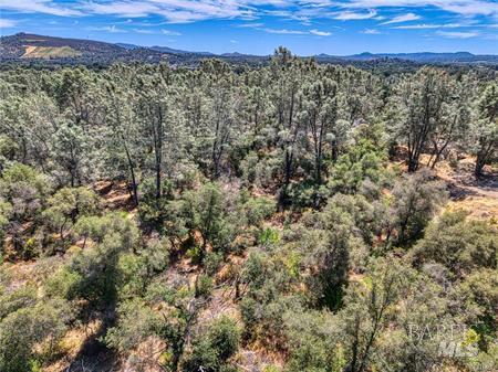 14142 Burns Valley Road Clearlake, CA 95422 - Photo 34 of 36 a view of a city with green field