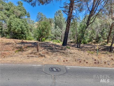 14142 Burns Valley Road Clearlake, CA 95422 - Photo 9 of 36 a view of backyard with green space