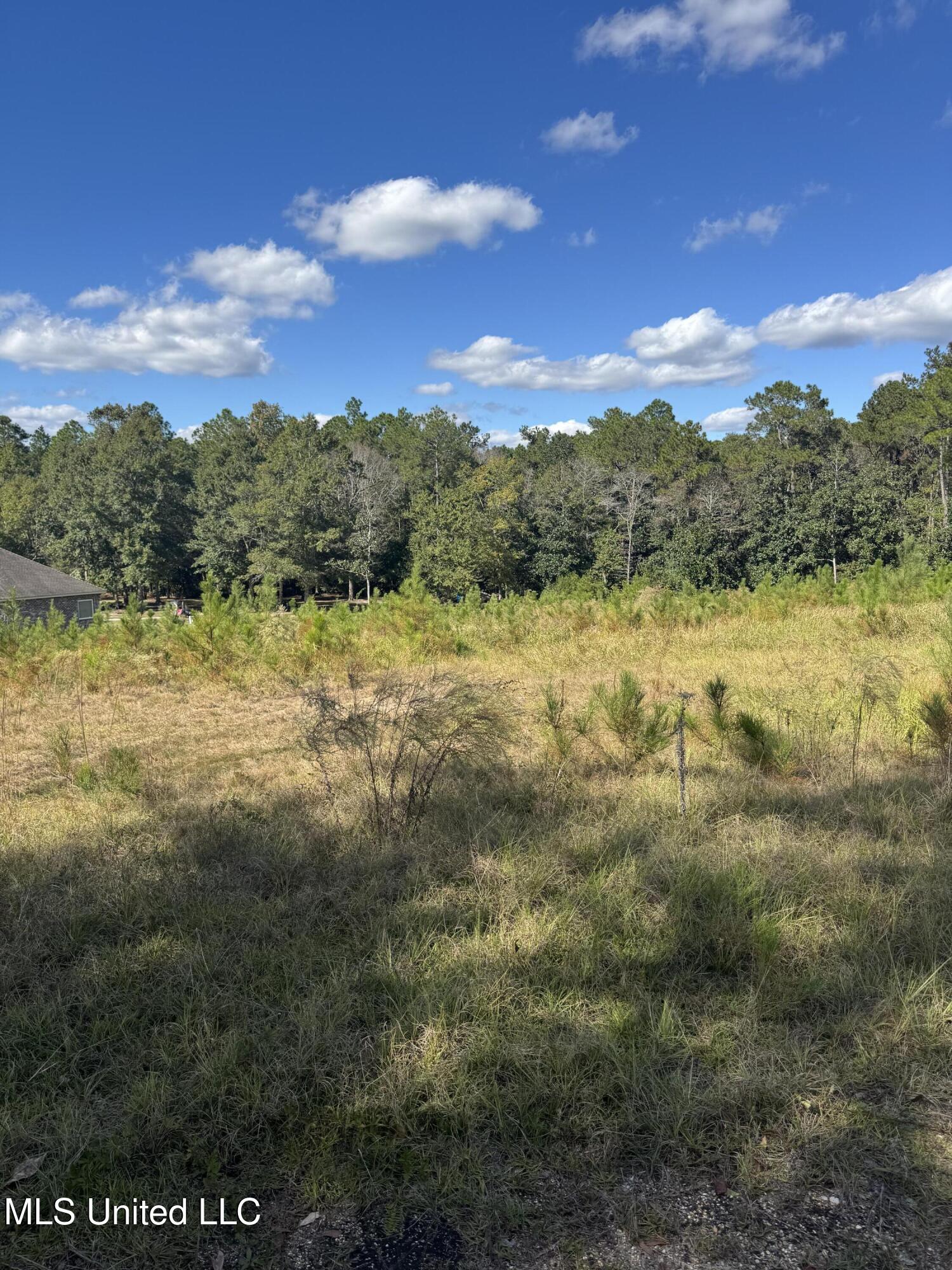 13350 Wash Fayard Road Biloxi, MS 39532 - Photo 2 of 10 IMG_2547-1