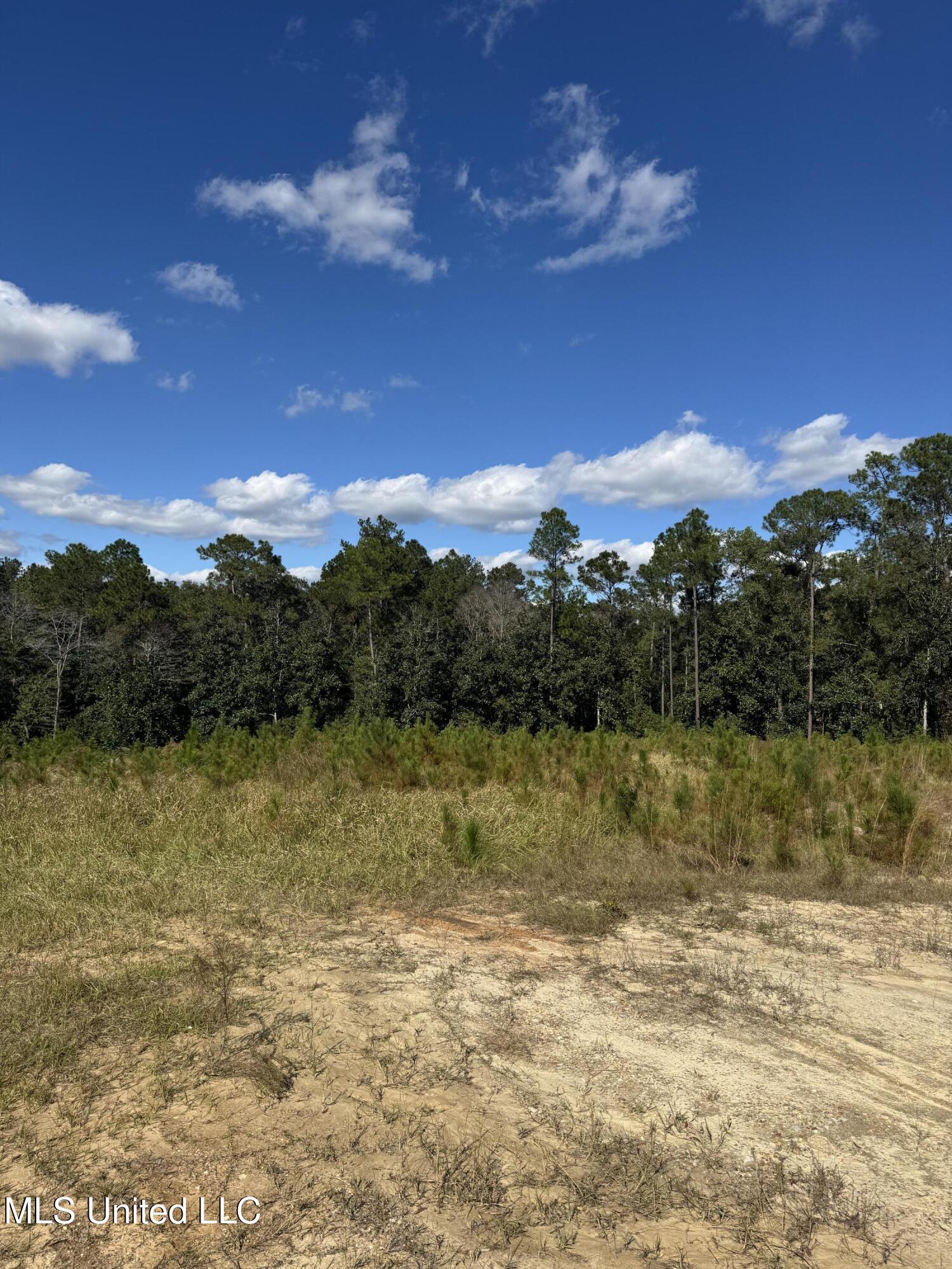 13350 Wash Fayard Road Biloxi, MS 39532 - Photo 5 of 10 IMG_2550-1