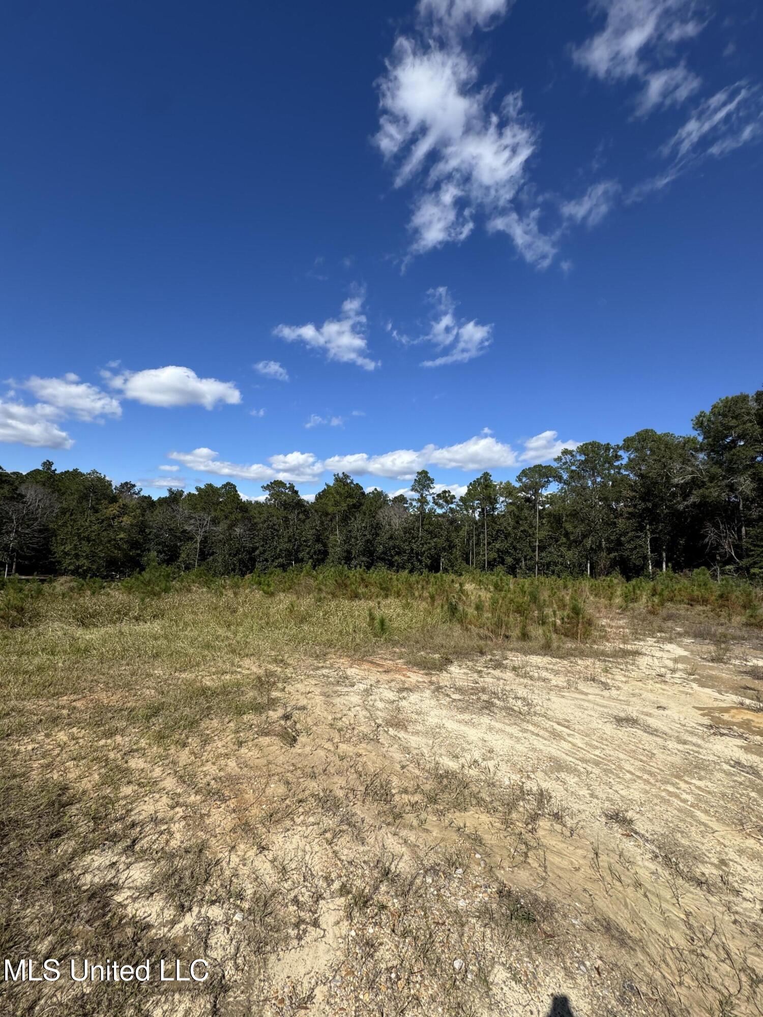 13350 Wash Fayard Road Biloxi, MS 39532 - Photo 6 of 10 IMG_2551-1