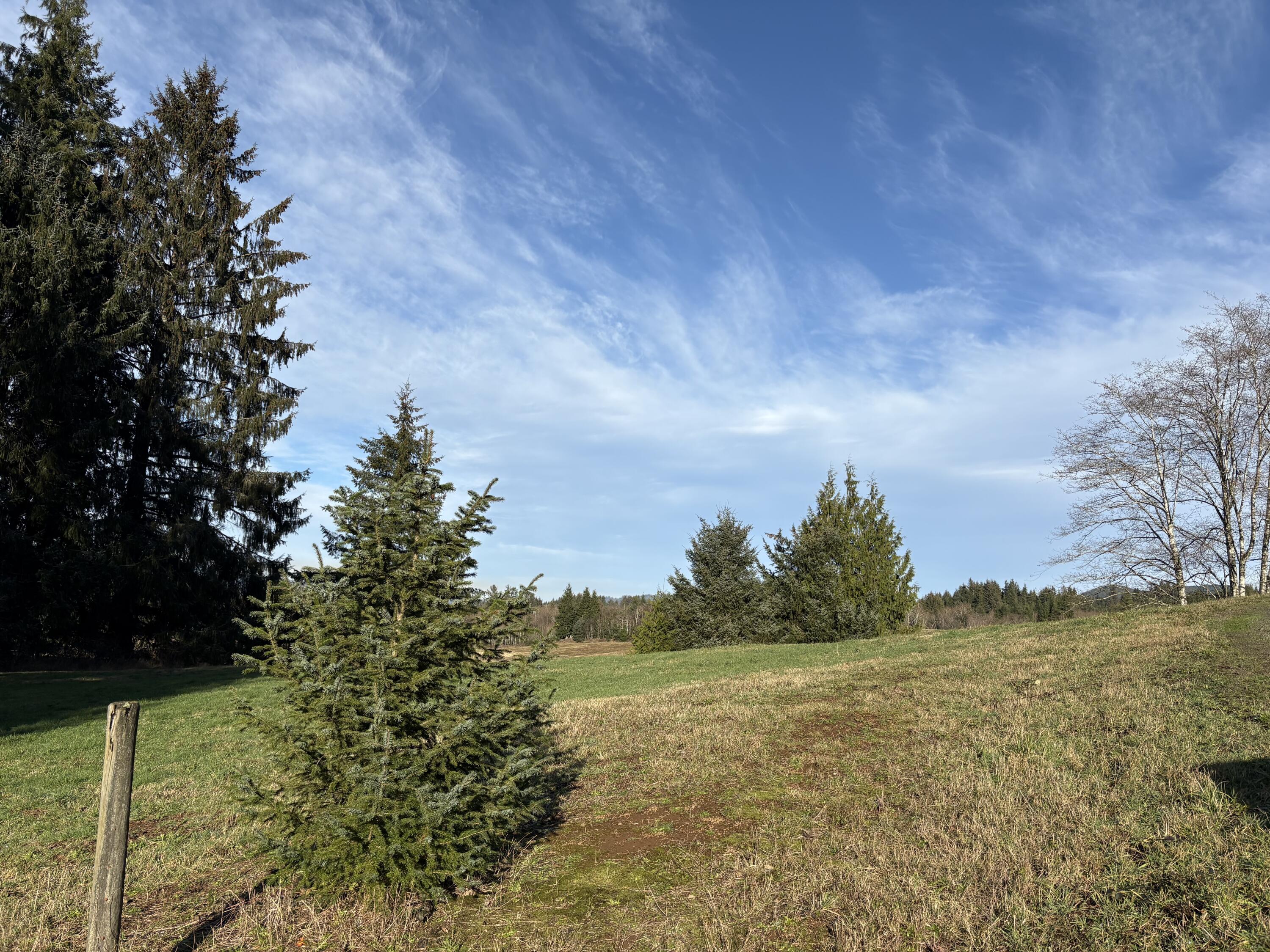 1201 Hurliman Hill Road Tillamook, OR 97141 - Photo 7 of 8 IMG_5340