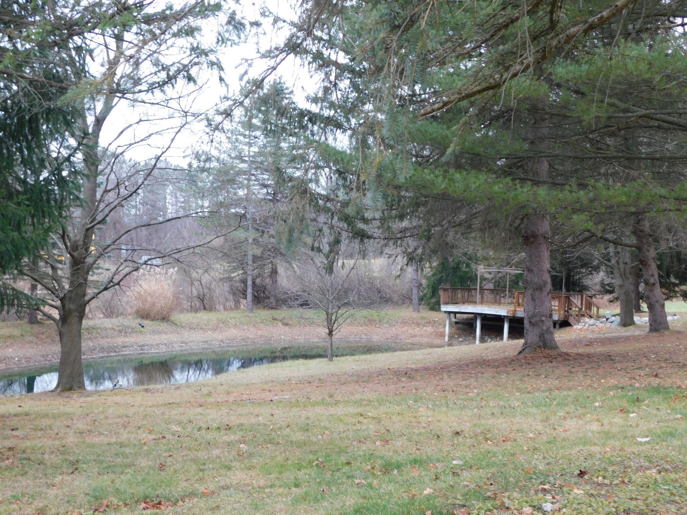 5365 Rochester Road Dryden, MI 48428 - Photo 37 of 38 Pond