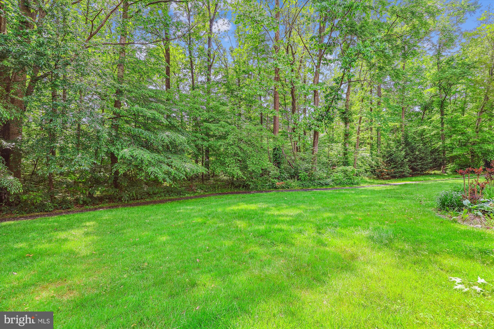 7708 Shootingstar Drive Springfield, VA 22152 - Photo 48 of 62 Backyard views, Summer!