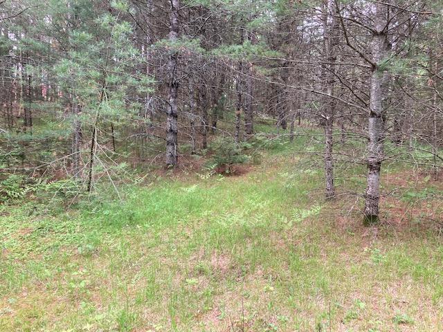 Ha98-5 Stonefield Road Hazelhurst, WI 54531 - Photo 2 of 3 Gallery Image 2