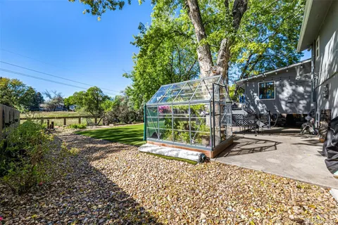 a view of a park with large trees