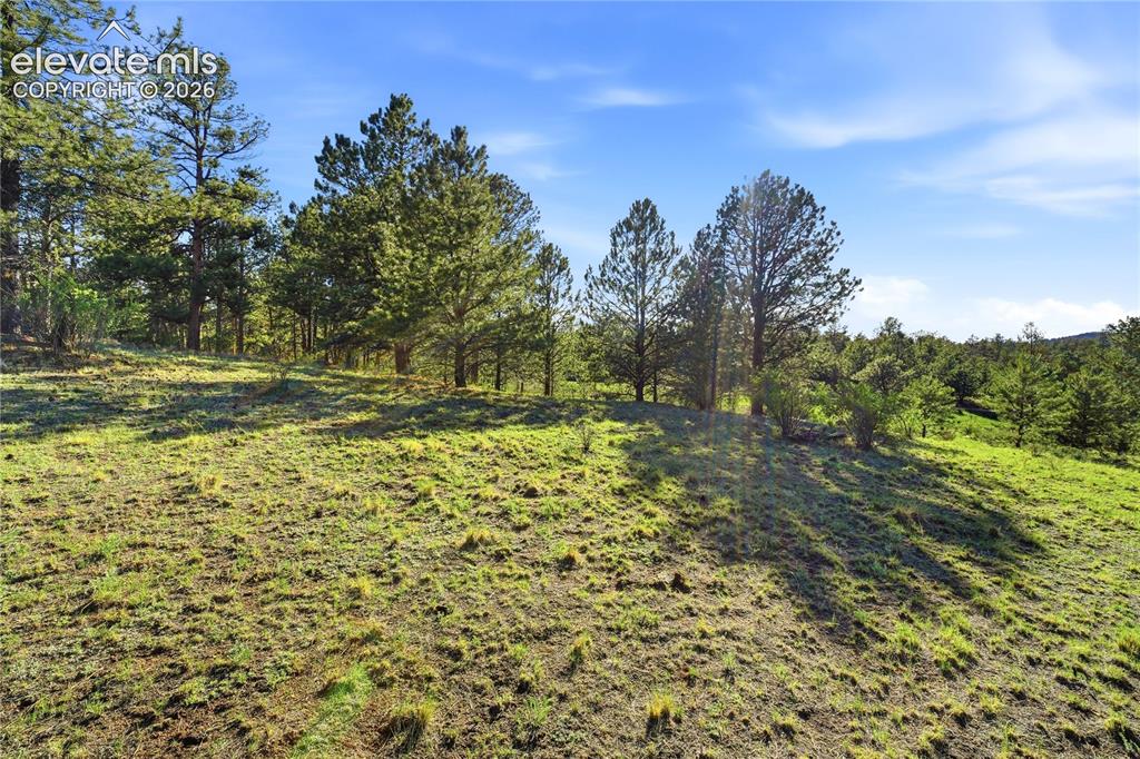 Doe Valley Road Guffey, CO 80820 - Photo 9 of 19