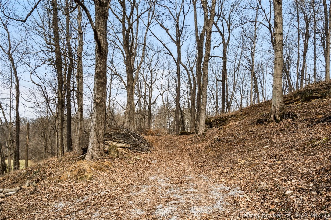 0 Rose Island Road Prospect, KY 40059 - Photo 3 of 28
