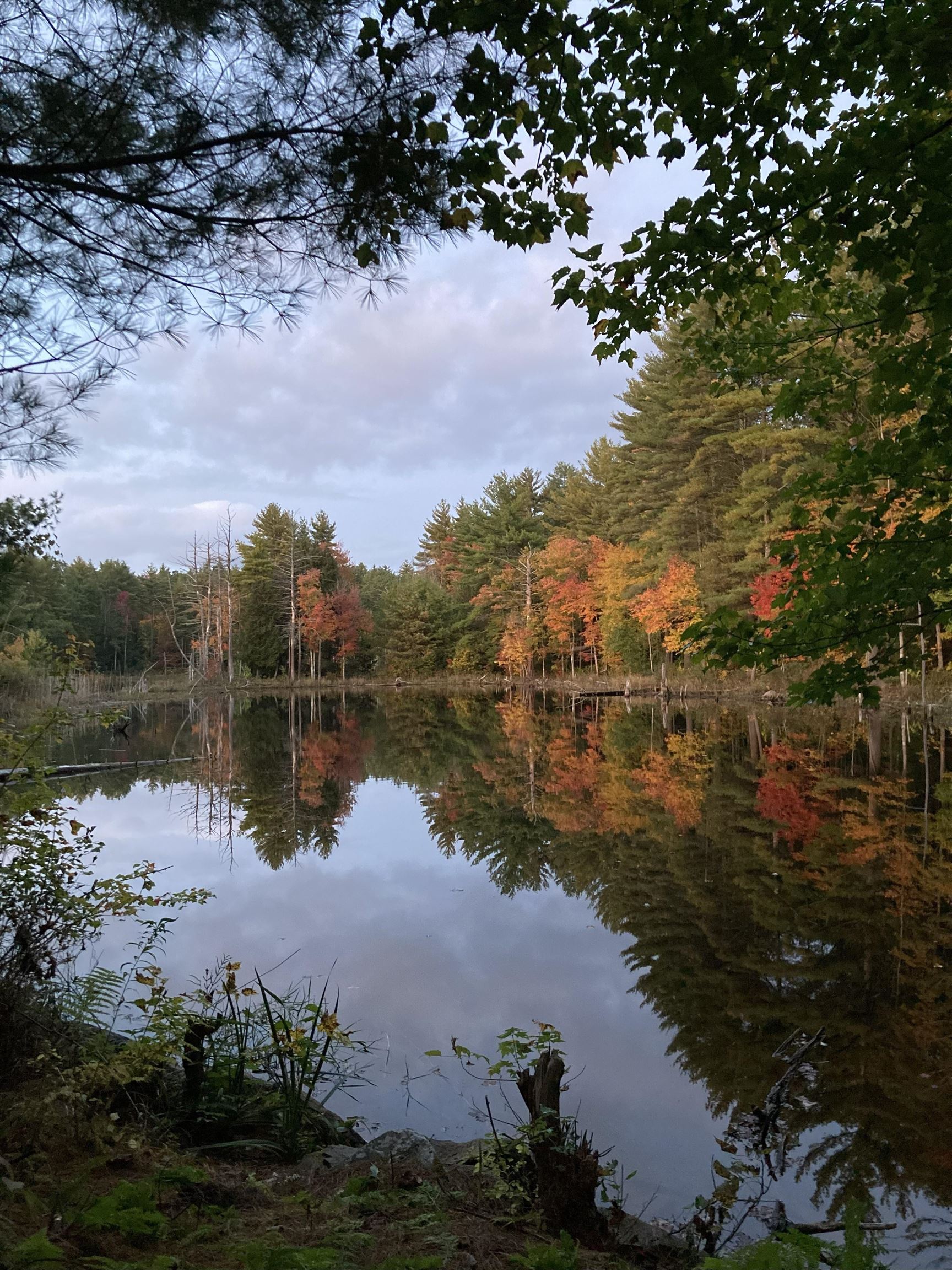 249 Villager Road Chester, NH 03036 - Photo 50 of 52