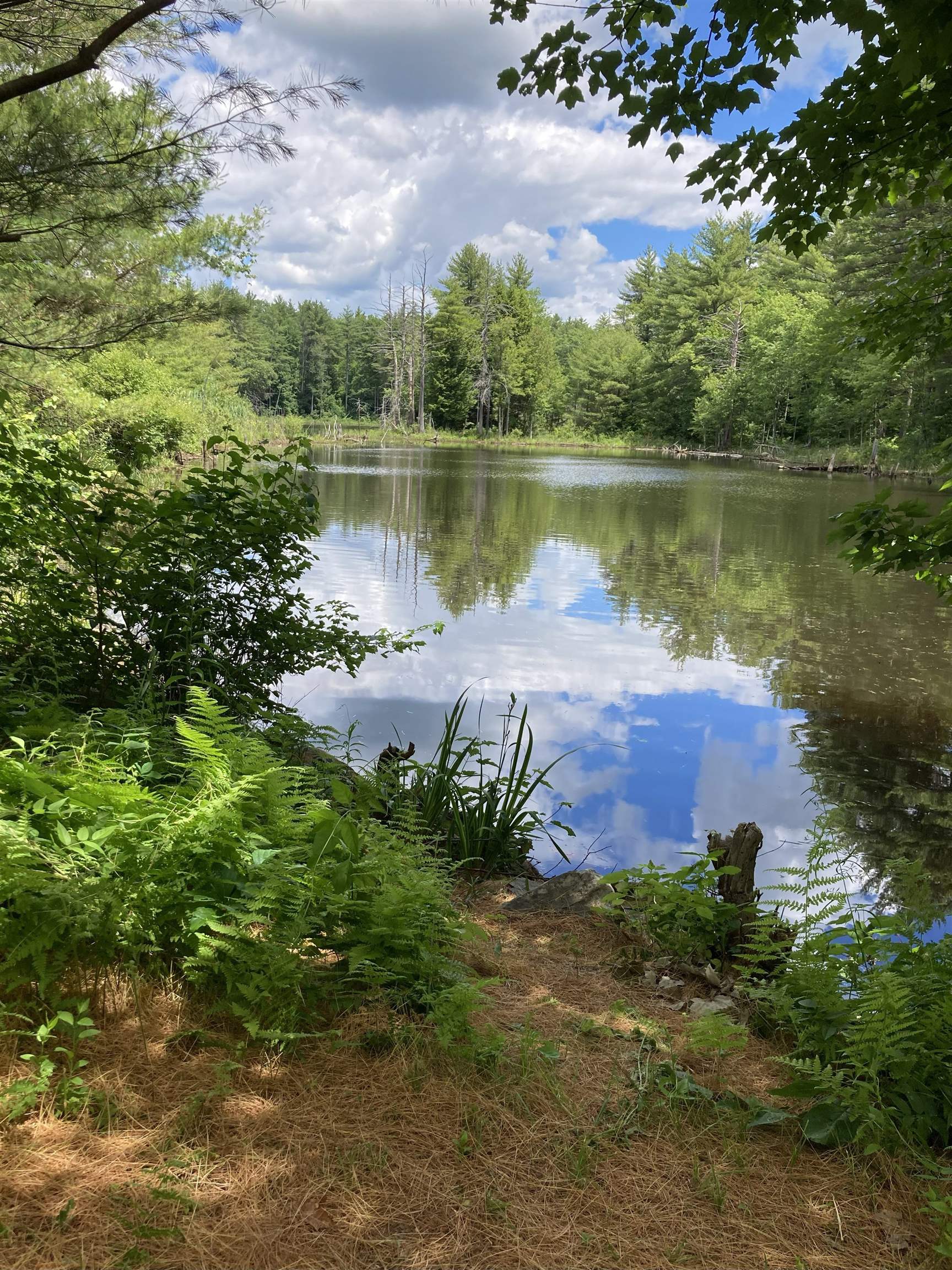 249 Villager Road Chester, NH 03036 - Photo 52 of 52