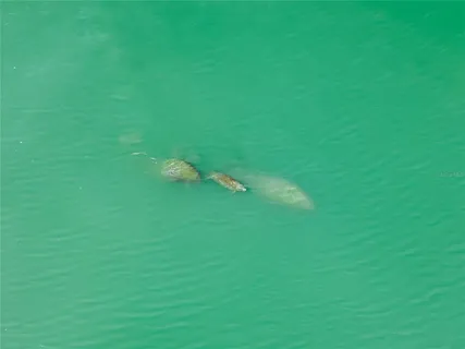 $9,495,000 | 551 South Washington Drive, Sarasota, FL 34236