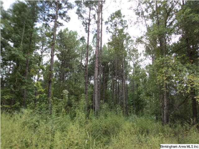 22 Highway Ac Al, Unit 89 Daviston, AL 36256 - Photo 4 of 10