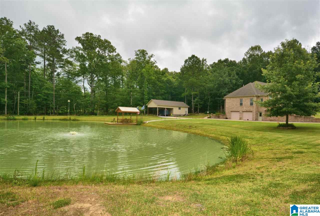 40 Baron Drive Chelsea, AL 35043 - Photo 5 of 45