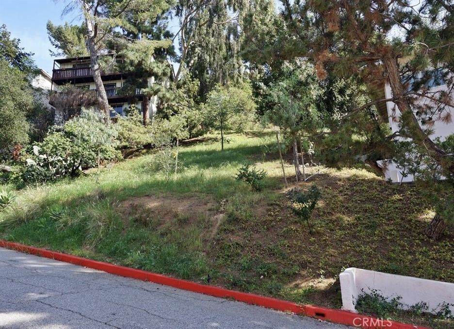 1112 Vincent Way Glendale, CA 91205 - Photo 4 of 5 a view of a yard with plants and large trees