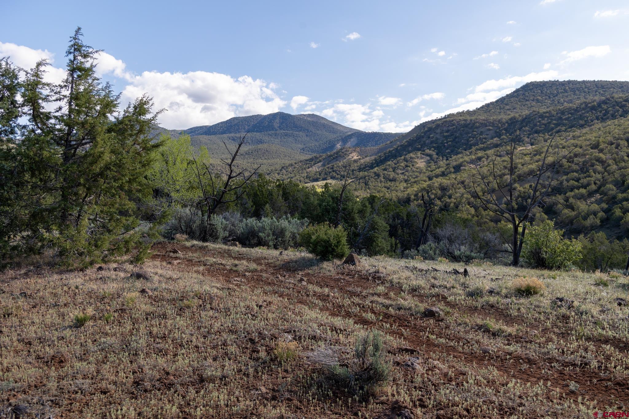 Tbd Powell Mesa Road Hotchkiss, CO 81419 - Photo 21 of 33 a view of a dry yard with mountains in the background