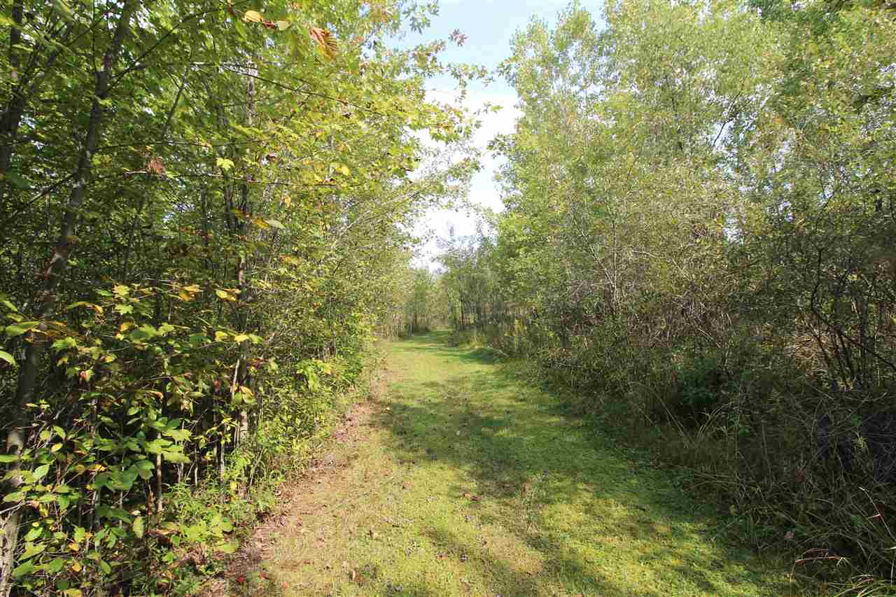 7303 Reid Road Swartz Creek, MI 48473 - Photo 34 of 39 50055171-33.JPG