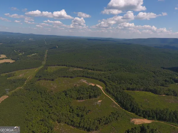 $967,500 | 0 Johnson Mountain Road, Unit 7401L, Fairmount, GA 30139