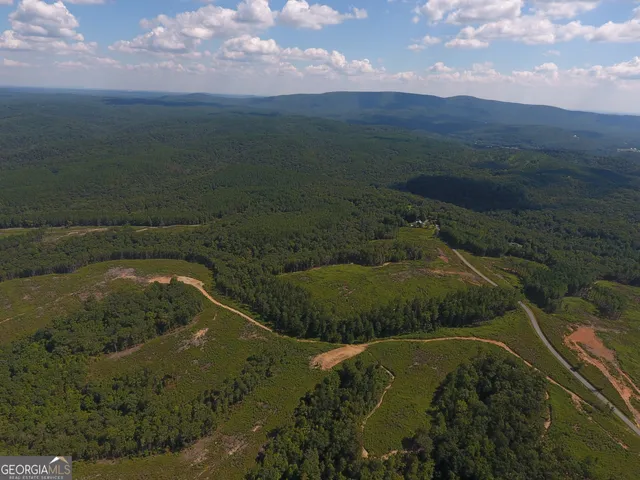 $967,500 | 0 Johnson Mountain Road, Unit 7401L, Fairmount, GA 30139