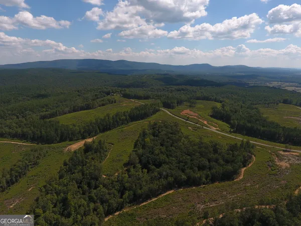 $967,500 | 0 Johnson Mountain Road, Unit 7401L, Fairmount, GA 30139