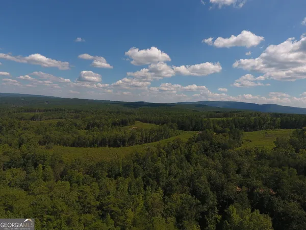 $967,500 | 0 Johnson Mountain Road, Unit 7401L, Fairmount, GA 30139