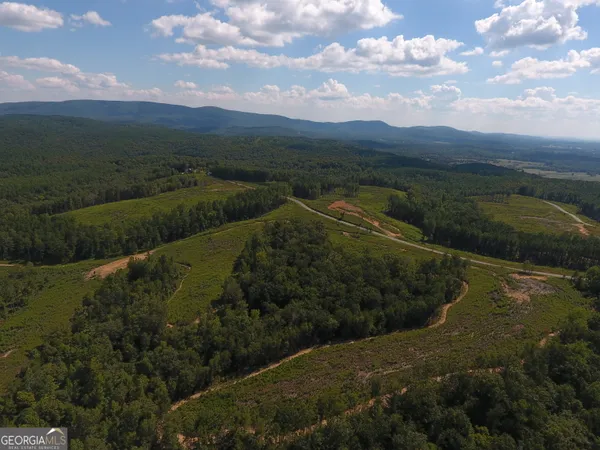 $967,500 | 0 Johnson Mountain Road, Unit 7401L, Fairmount, GA 30139