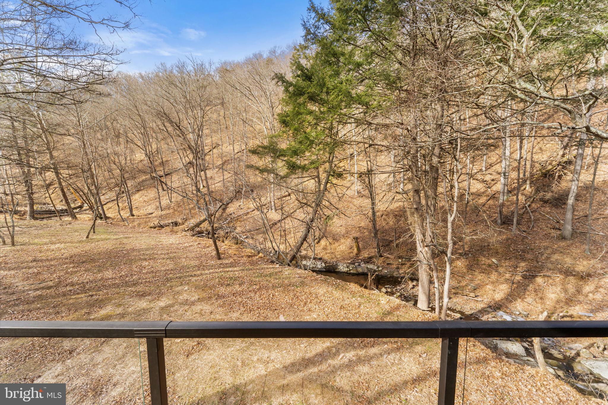 1956 Dove Hollow Road Mathias, WV 26812 - Photo 101 of 113 View from Primary Bedroom Porch