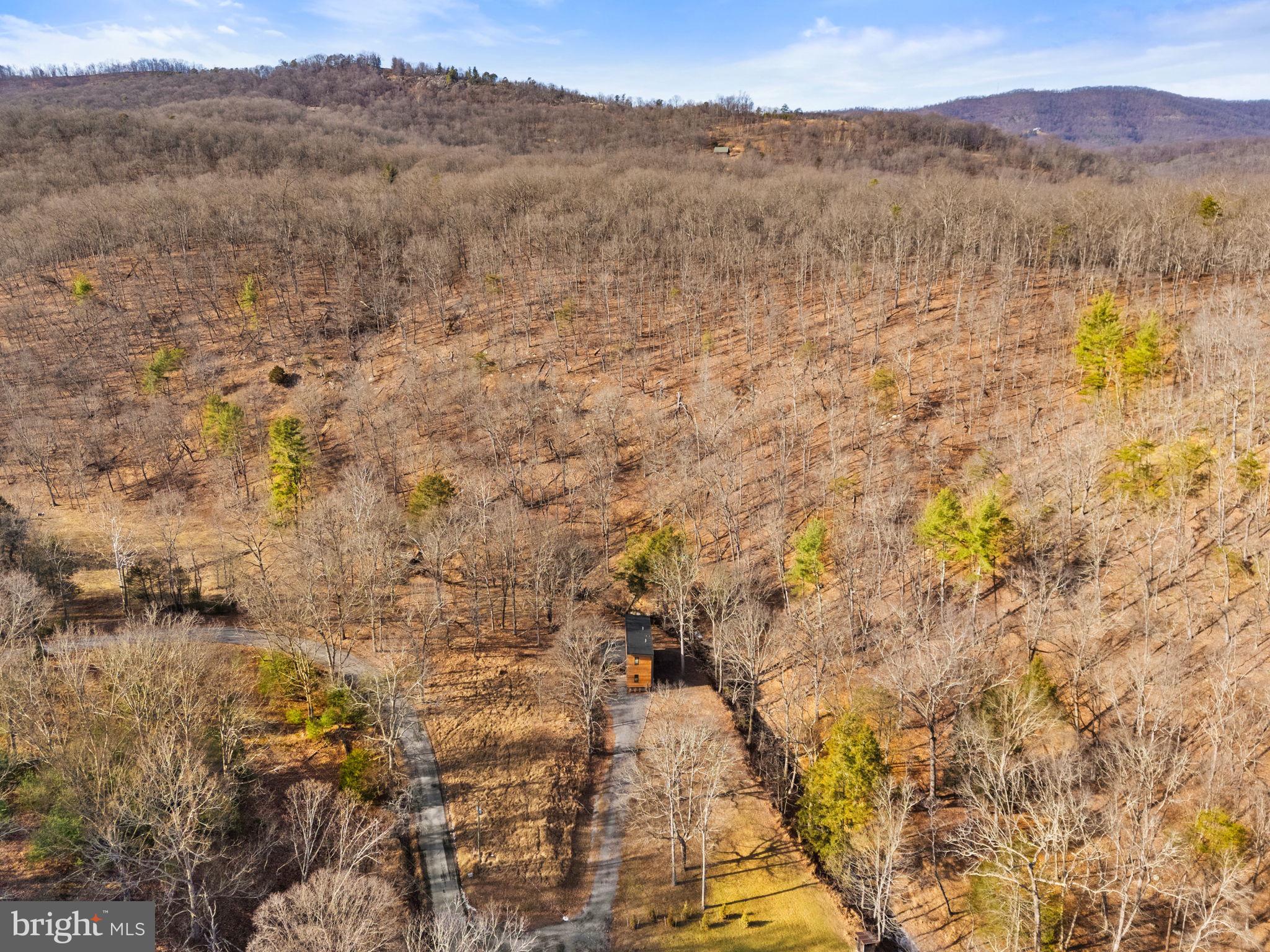 1956 Dove Hollow Road Mathias, WV 26812 - Photo 106 of 113 Aerial View of Property