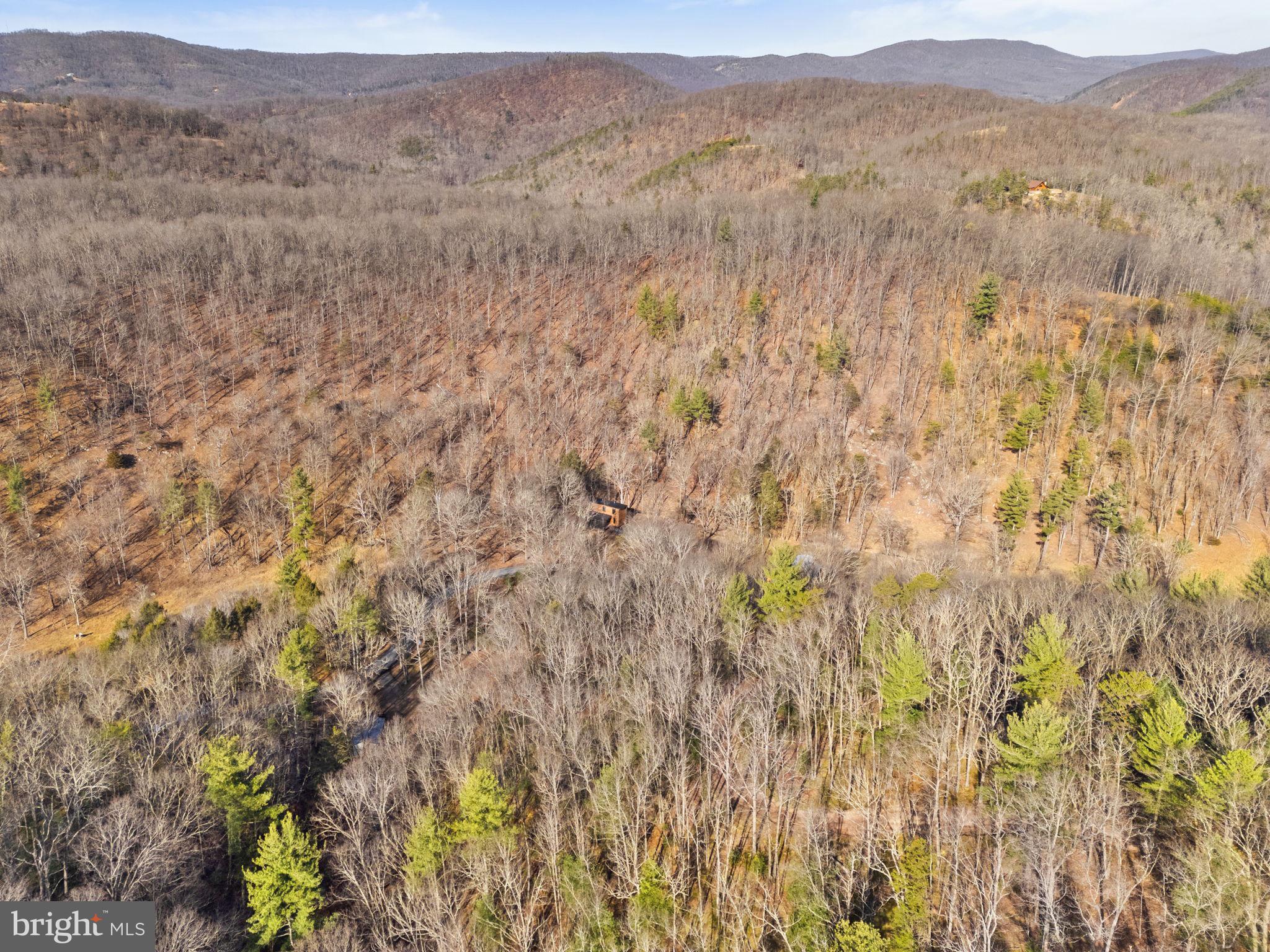 1956 Dove Hollow Road Mathias, WV 26812 - Photo 107 of 113 Aerial View of Property