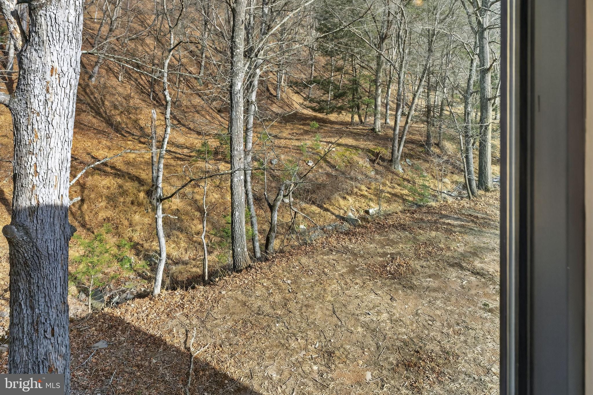 1956 Dove Hollow Road Mathias, WV 26812 - Photo 51 of 113 View from Second level bathroom