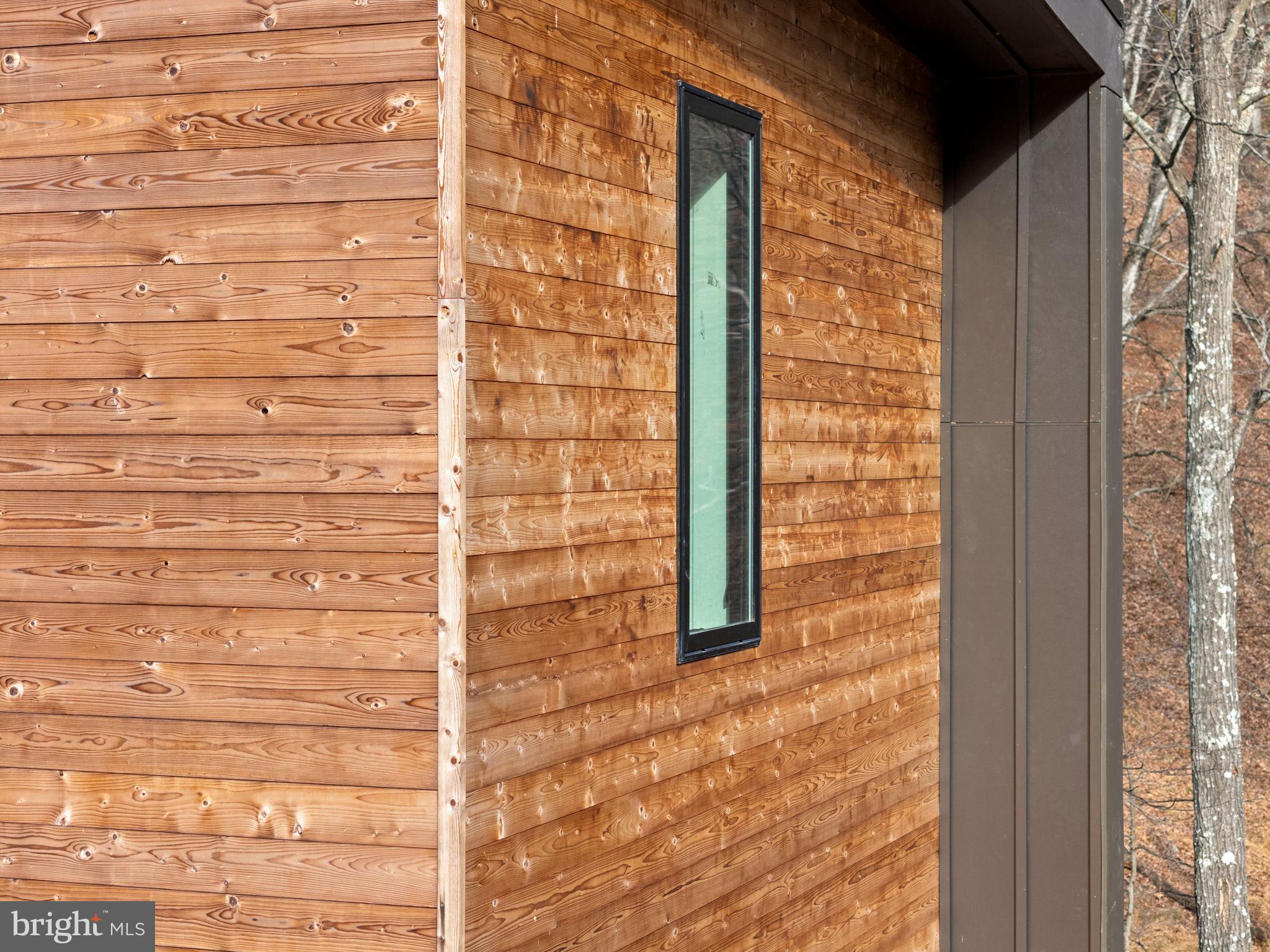 1956 Dove Hollow Road Mathias, WV 26812 - Photo 72 of 113 Natural Wood siding lends a modern rustic touch