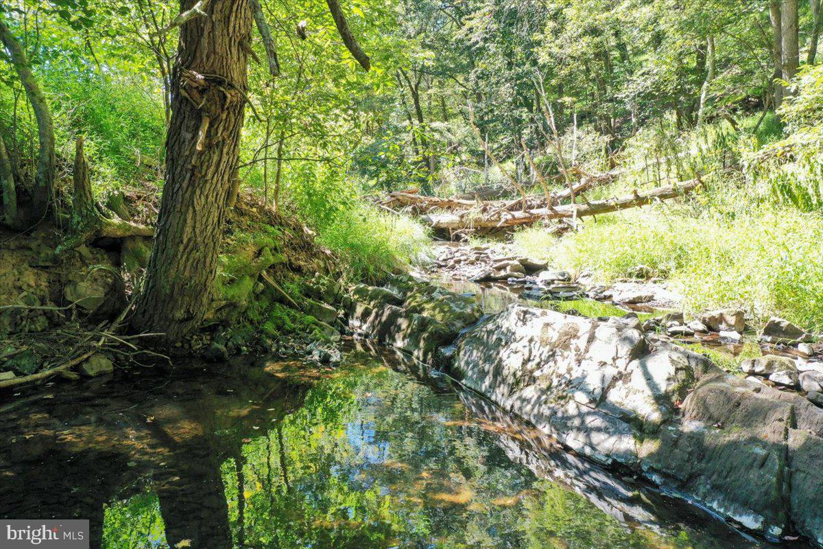 1956 Dove Hollow Road Mathias, WV 26812 - Photo 74 of 113 Stream with Swimming Hole
