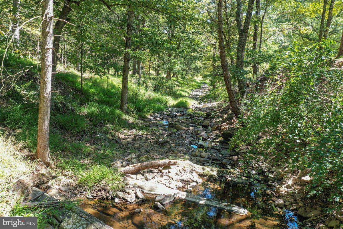1956 Dove Hollow Road Mathias, WV 26812 - Photo 75 of 113 Stream with Swimming Hole