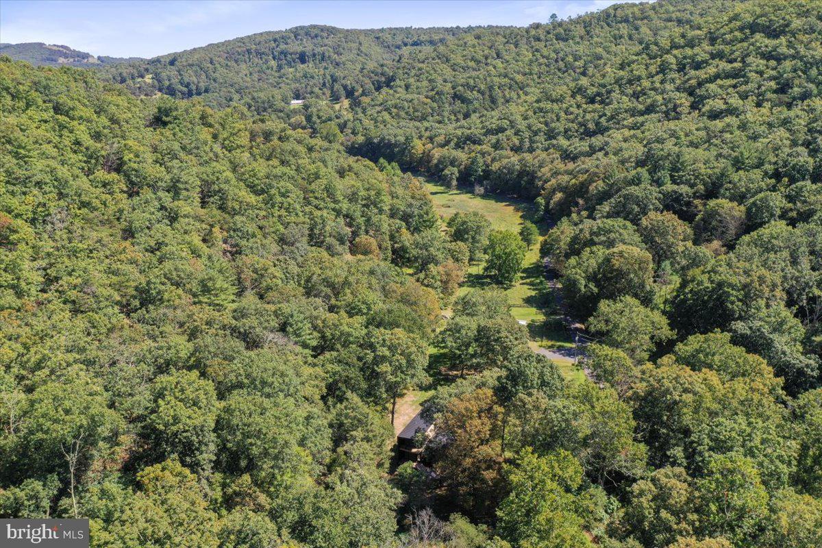 1956 Dove Hollow Road Mathias, WV 26812 - Photo 78 of 113 Aerial View of Land & Surroundings