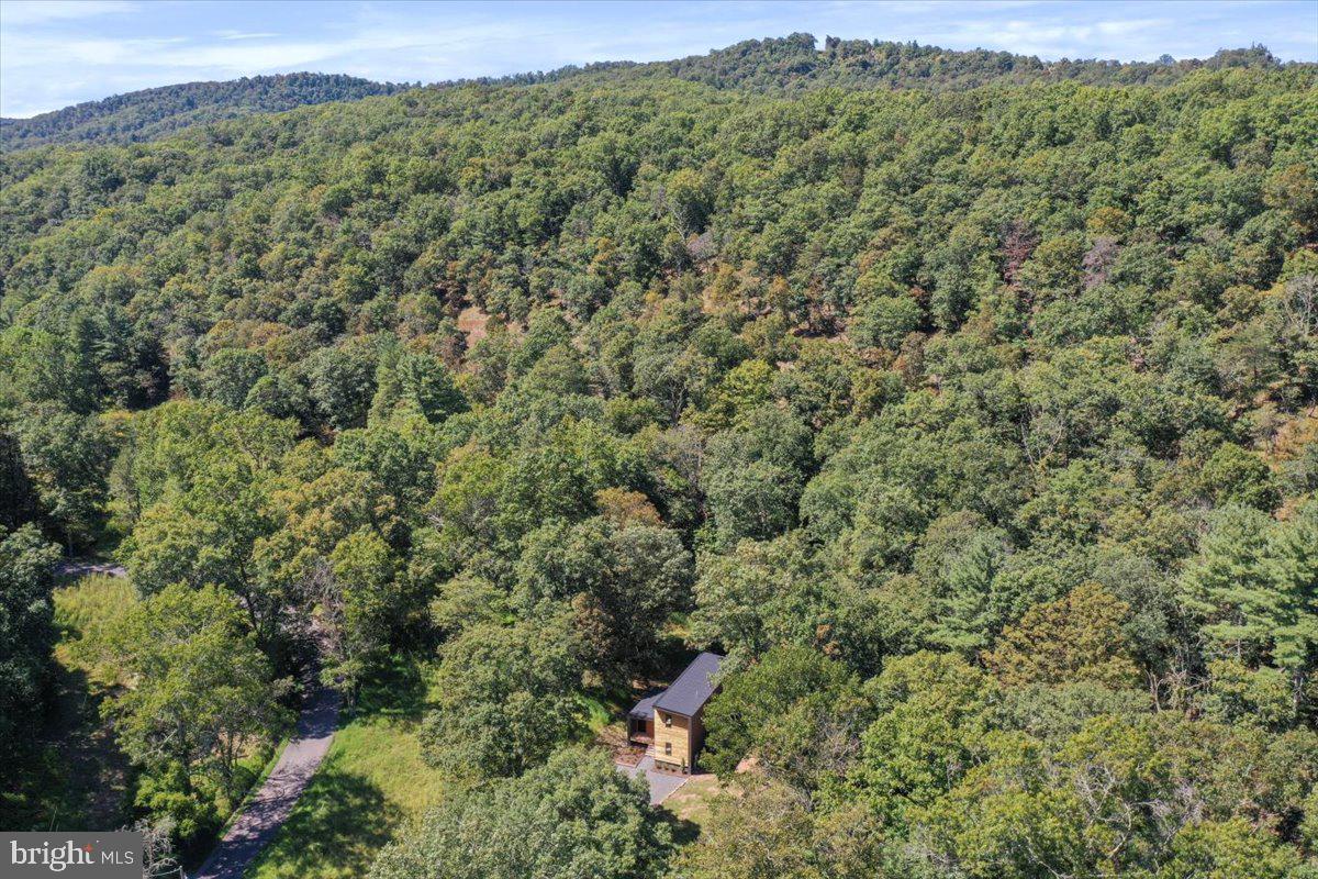 1956 Dove Hollow Road Mathias, WV 26812 - Photo 79 of 113 Aerial View of Land & Surroundings