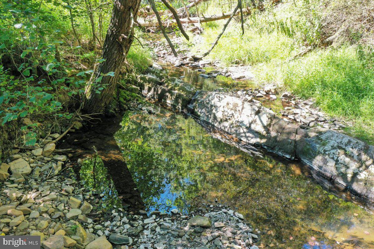 1956 Dove Hollow Road Mathias, WV 26812 - Photo 85 of 113 Stream with Swimming Hole