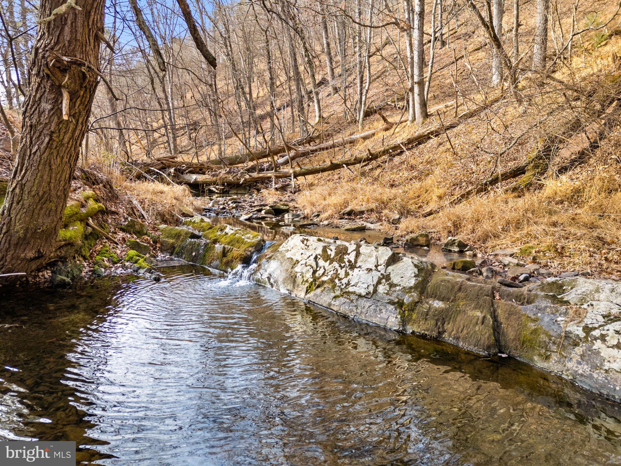 1956 Dove Hollow Road Mathias, WV 26812 - Photo 9 of 113 Year Round stream with swimming hole