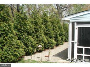 17275 Queen Anne Way, Unit 19 Lewes, DE 19958 - Photo 7 of 19 Gallery Image 7