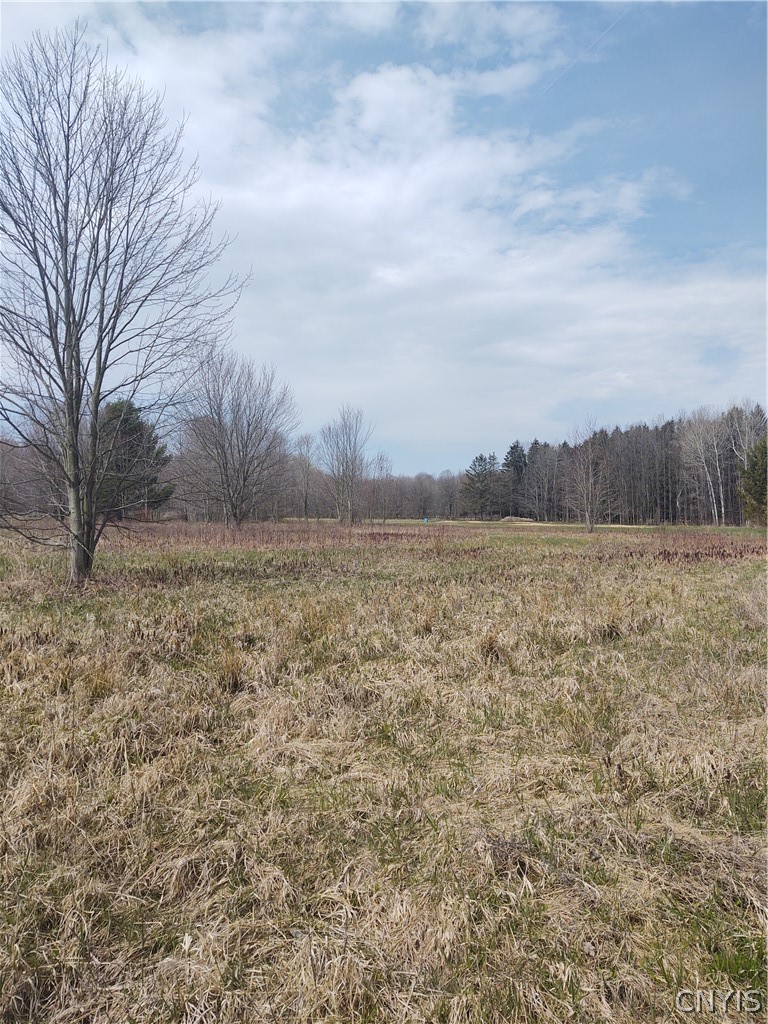 0 Route 316 Road Lenox, NY 13032 - Photo 1 of 1 Gallery Image 1