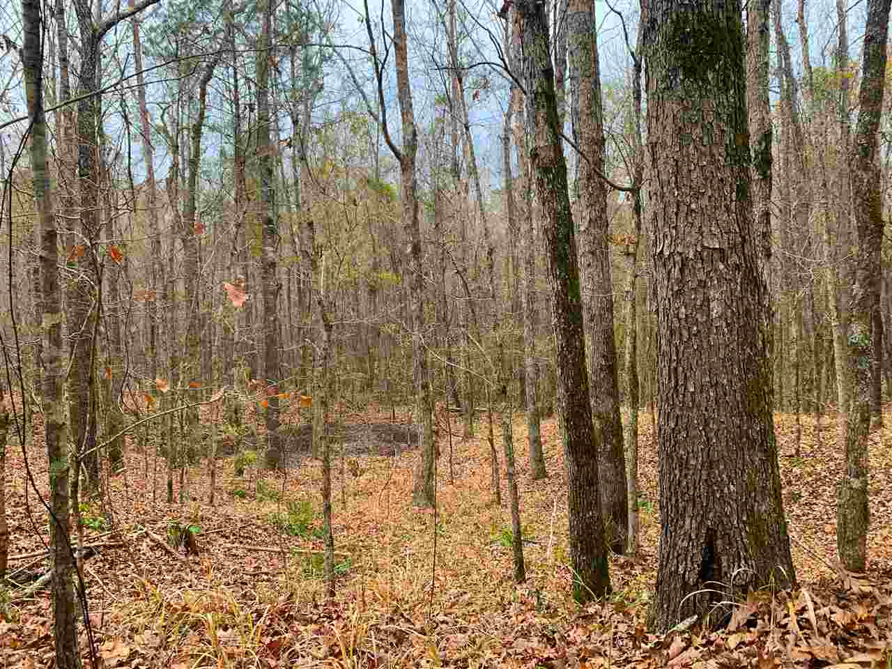 3018 International Road Hermanville, MS 39086 - Photo 1 of 27 Photo 1