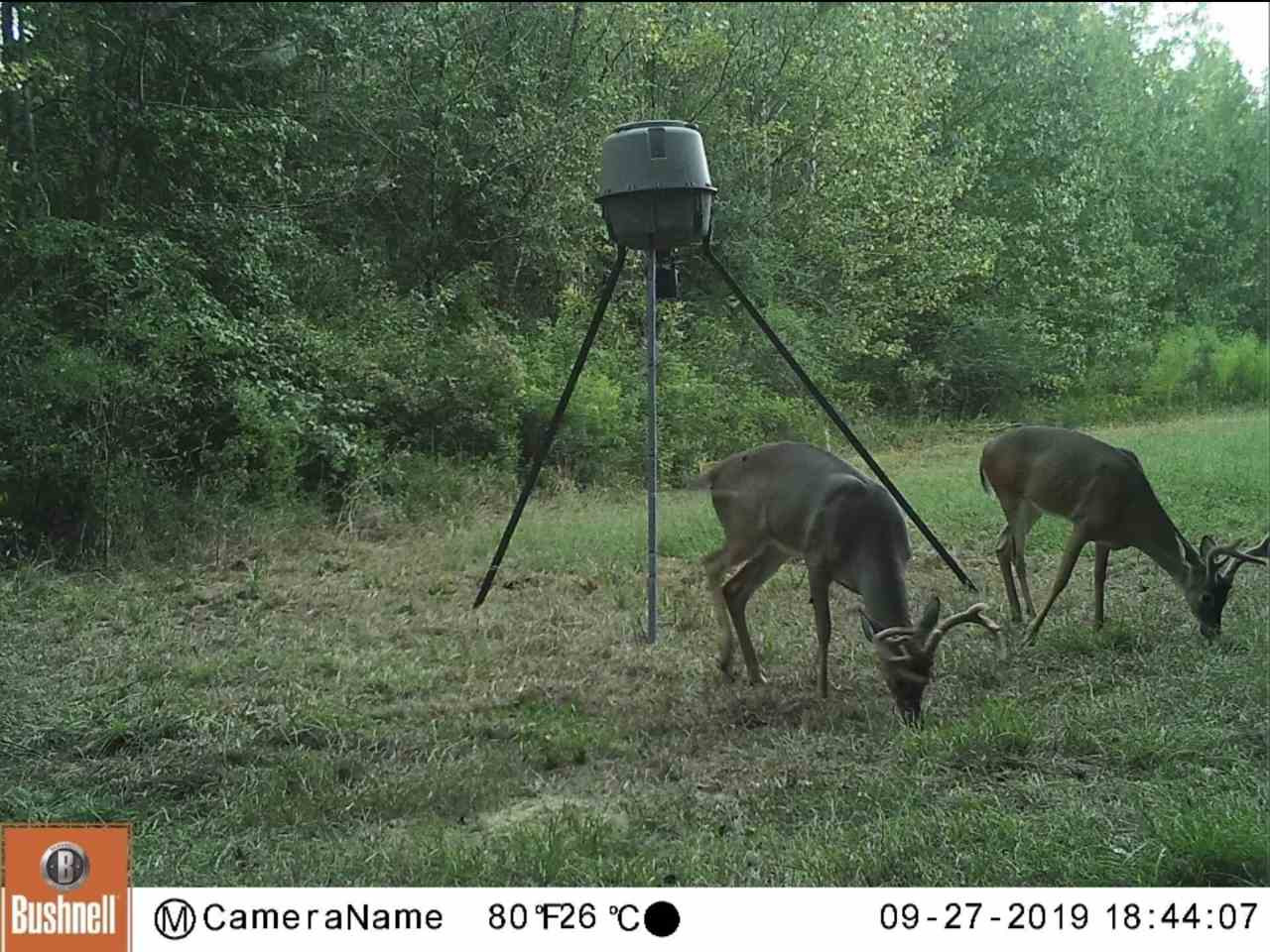 3018 International Road Hermanville, MS 39086 - Photo 11 of 27 Photo 11