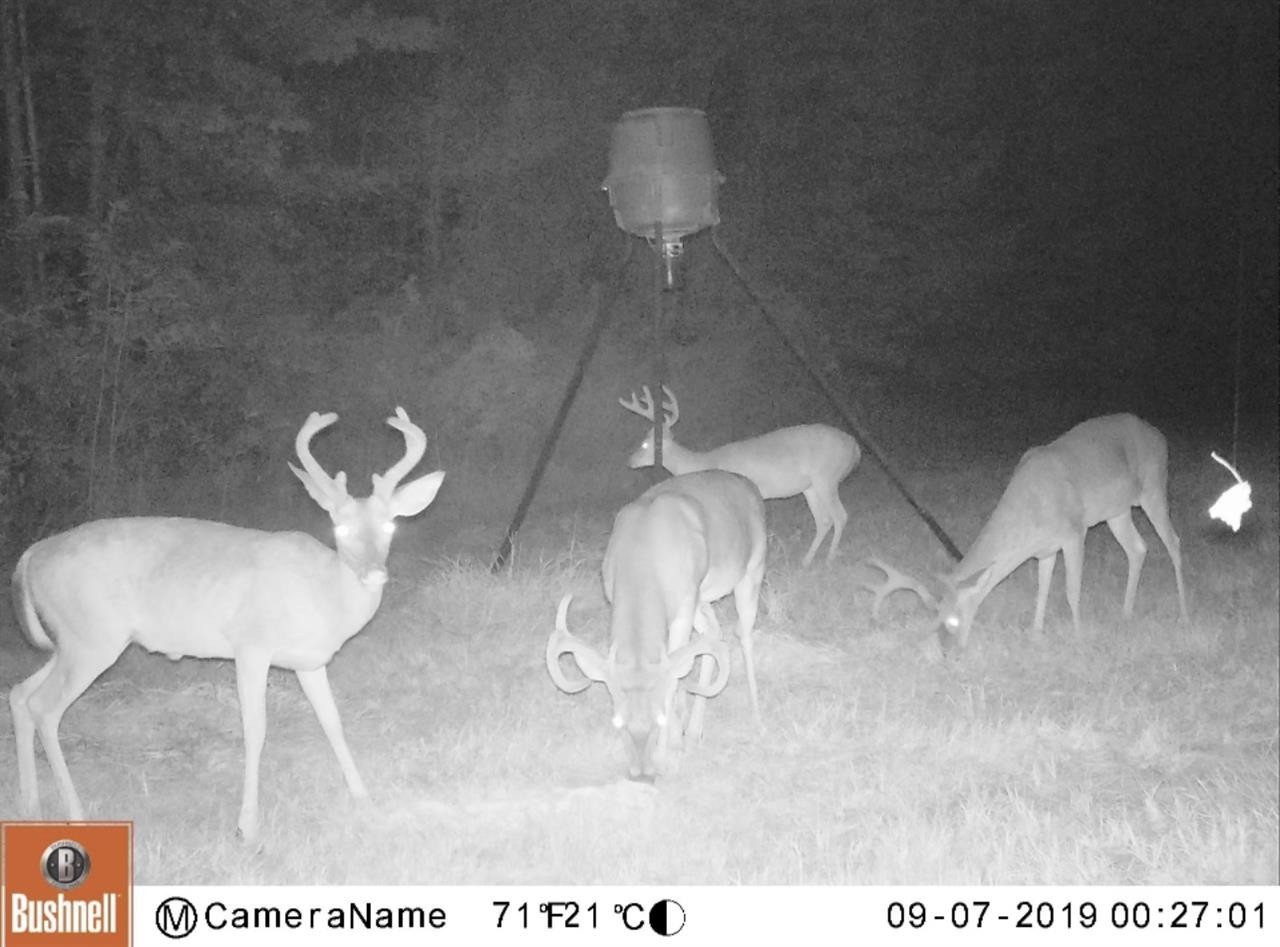3018 International Road Hermanville, MS 39086 - Photo 20 of 27 Photo 22